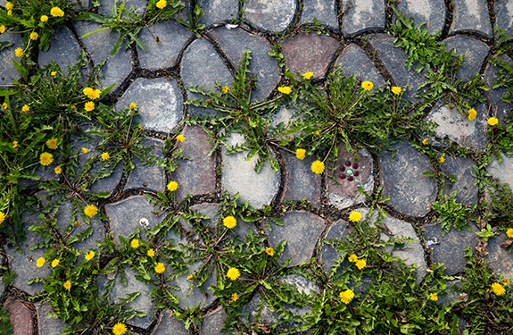 Lutte contre les fissures et les crevasses